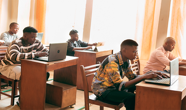 undergraduate education